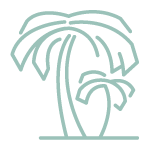 Palm Trees Icon